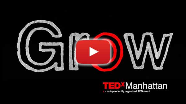 View Grow Animation on YouTube